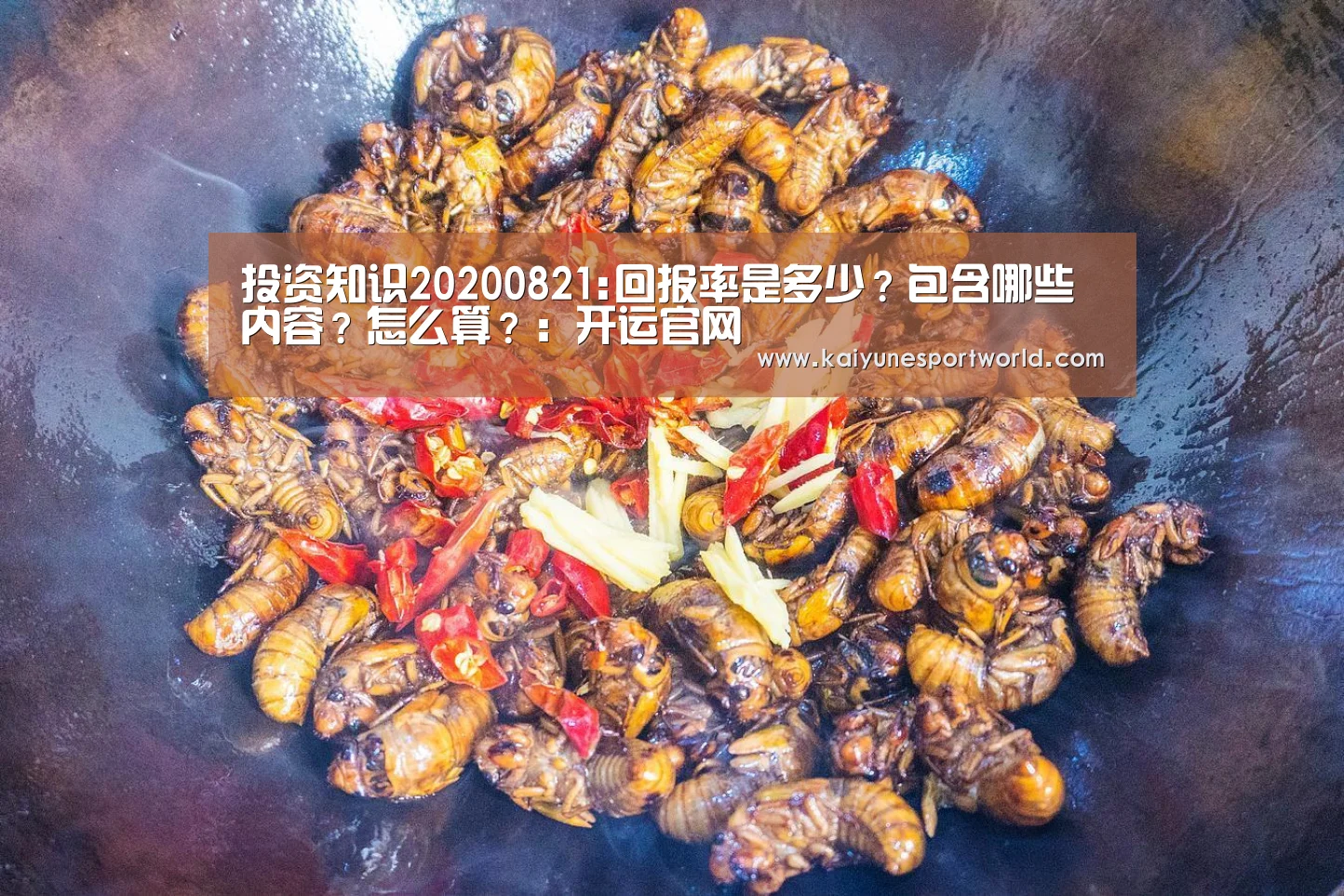 投资知识20200821:回报率是多少?包含哪些内容?怎么算?:开运官网(图1) 开运平台