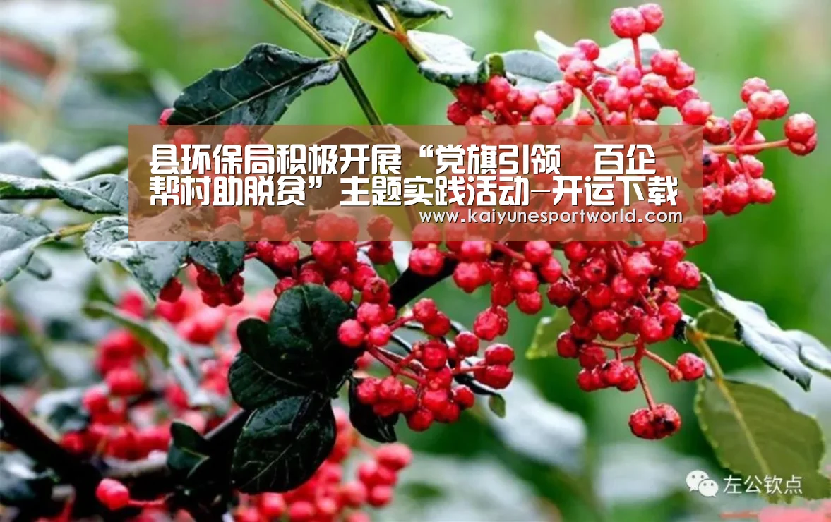 县环保局积极开展“党旗引领・百企帮村助脱贫”主题实践活动-开运下载(图2) 开运下载
