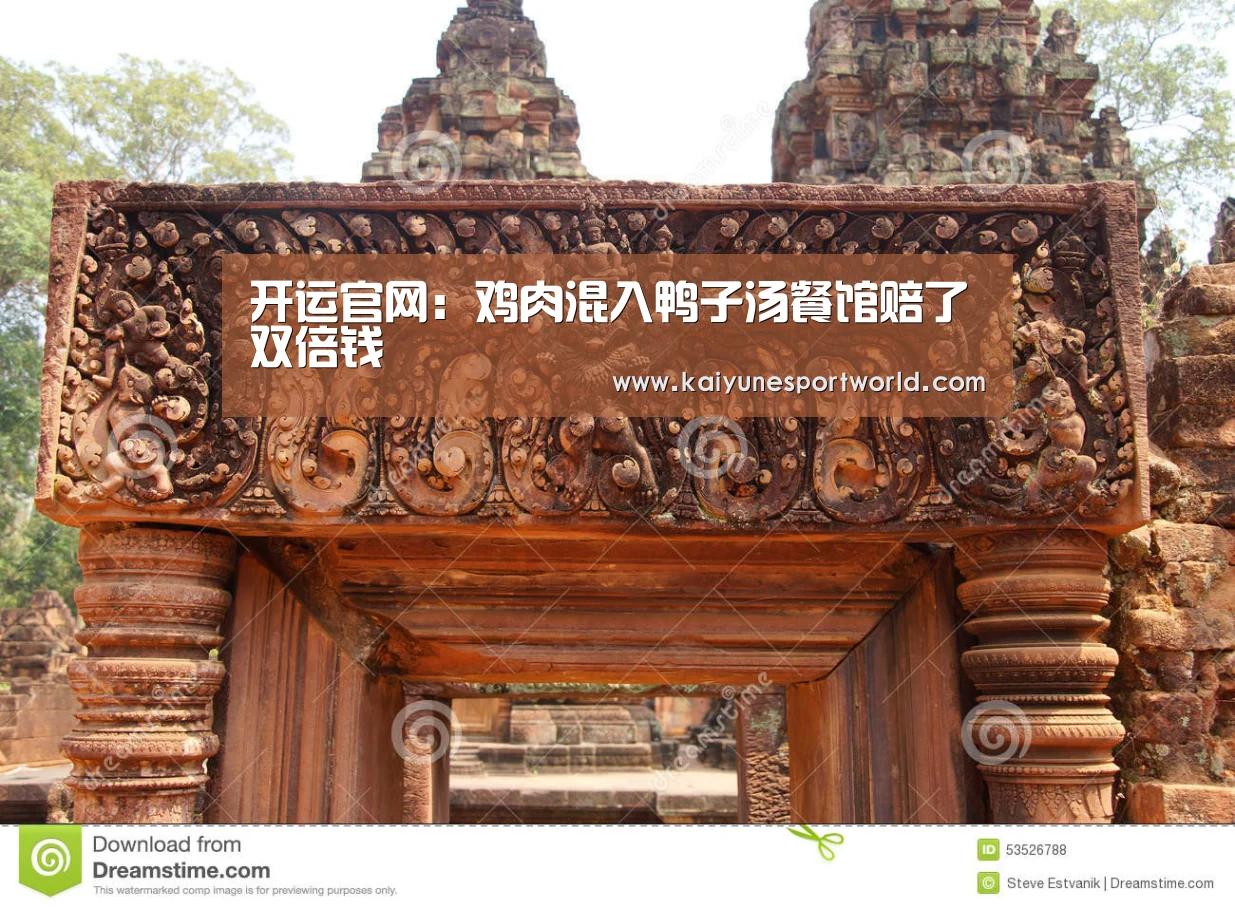 开运官网:鸡肉混入鸭子汤餐馆赔了双倍钱(图1) 开运下载