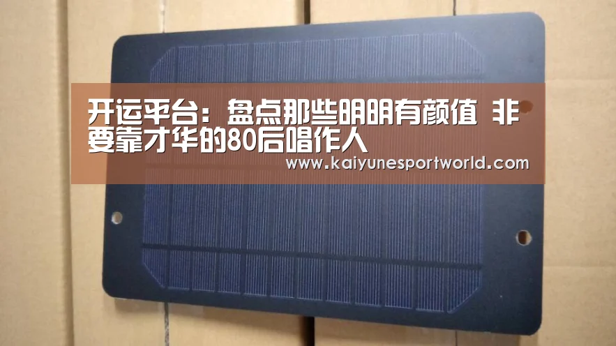 开运平台:盘点那些明明有颜值 非要靠才华的80后唱作人(图3) 开运官网