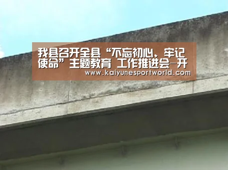 我县召开全县“不忘初心、牢记使命”主题教育 工作推进会-开运平台(图3) 开运官网